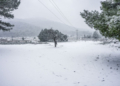 Χιόνισε σε Πάρνηθα και Πεντέλη – Διακοπή κυκλοφορίας στη Λ. Πάρνηθος