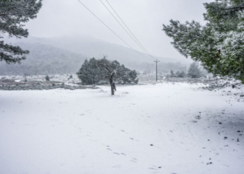 Χιόνισε σε Πάρνηθα και Πεντέλη – Διακοπή κυκλοφορίας στη Λ. Πάρνηθος