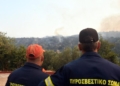 Φοινικιά: “Έπιασαν” τη φωτιά πριν δημιουργήσει σοβαρά προβλήματα