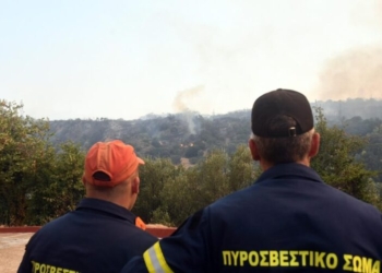 Φοινικιά: “Έπιασαν” τη φωτιά πριν δημιουργήσει σοβαρά προβλήματα