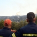 Φοινικιά: “Έπιασαν” τη φωτιά πριν δημιουργήσει σοβαρά προβλήματα