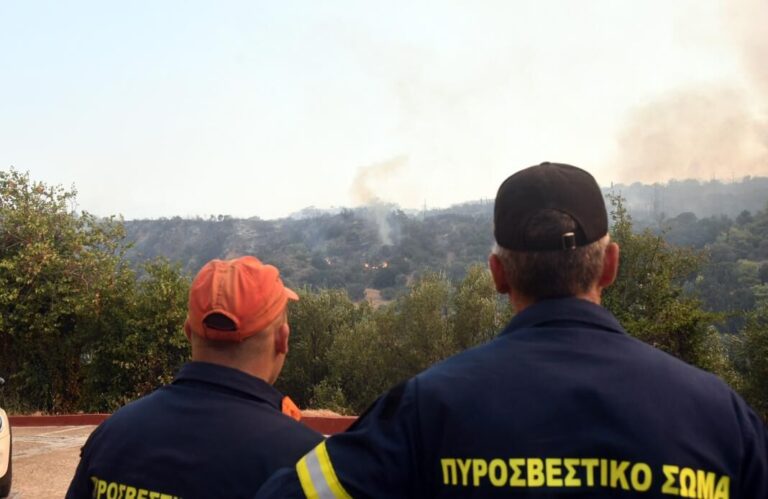 Φοινικιά: “Έπιασαν” τη φωτιά πριν δημιουργήσει σοβαρά προβλήματα