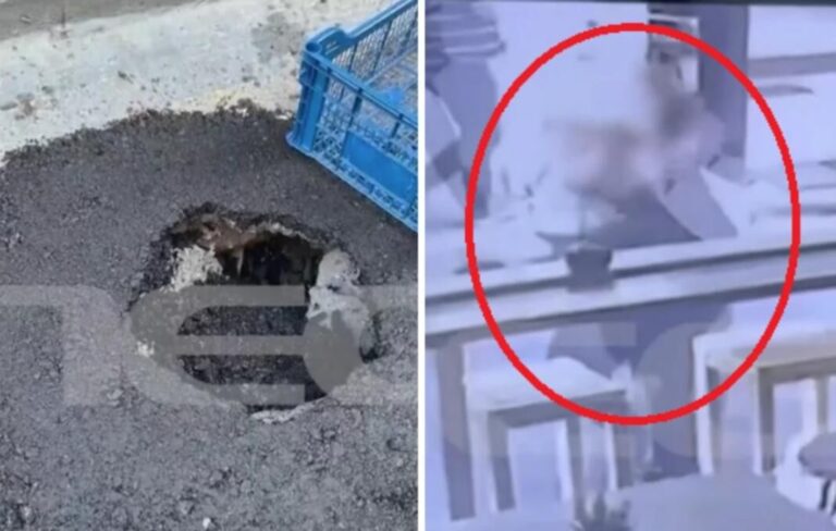 Ηράκλειο: Πεζή έπεσε σε λακκούβα και έκανε 40 ράμματα!