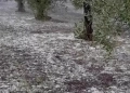 Ηράκλειο: Ζημιές σε αμπελοκαλλιέργειες από την έντονη χαλαζόπτωση -Έπεσαν περί τα εβδομήντα χιλιοστά βροχής