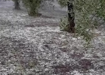 Ηράκλειο: Ζημιές σε αμπελοκαλλιέργειες από την έντονη χαλαζόπτωση -Έπεσαν περί τα εβδομήντα χιλιοστά βροχής
