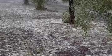 Ηράκλειο: Ζημιές σε αμπελοκαλλιέργειες από την έντονη χαλαζόπτωση -Έπεσαν περί τα εβδομήντα χιλιοστά βροχής