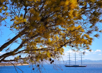 Κοινωνικός Τουρισμός: Ανακοινώθηκαν τα προσωρινά αποτελέσματα
