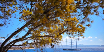 Κοινωνικός Τουρισμός: Ανακοινώθηκαν τα προσωρινά αποτελέσματα
