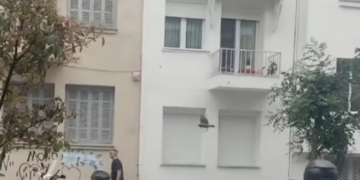 Κοράκι επιτίθεται και τραυματίζει περαστικούς στο κέντρο της Θεσσαλονίκης - Δείτε βίντεο