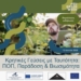 «Κρητικές Γεύσεις με Ταυτότητα: ΠΟΠ, Παράδοση & Βιωσιμότητα» – Διαδραστική εμπειρία από το Europe Direct της Περιφέρειας Κρήτης