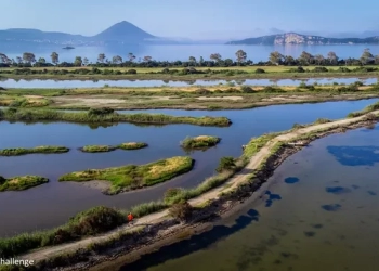 Messinia Challenge 2026: Οι πρώτοι βιώσιμοι αγώνες τρεξίματος στην Ελλάδα, μια διοργάνωση που έγραψε ιστορία
