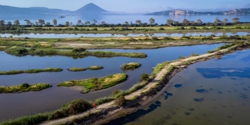 Messinia Challenge 2026: Οι πρώτοι βιώσιμοι αγώνες τρεξίματος στην Ελλάδα, μια διοργάνωση που έγραψε ιστορία