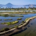 Messinia Challenge 2026: Οι πρώτοι βιώσιμοι αγώνες τρεξίματος στην Ελλάδα, μια διοργάνωση που έγραψε ιστορία