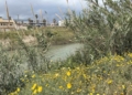 Μόλυνση στο Γιόφυρο: Γιατί τα αποτελέσματα των δειγμάτων έφεραν «ανακούφιση»