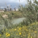 Μόλυνση στο Γιόφυρο: Γιατί τα αποτελέσματα των δειγμάτων έφεραν «ανακούφιση»