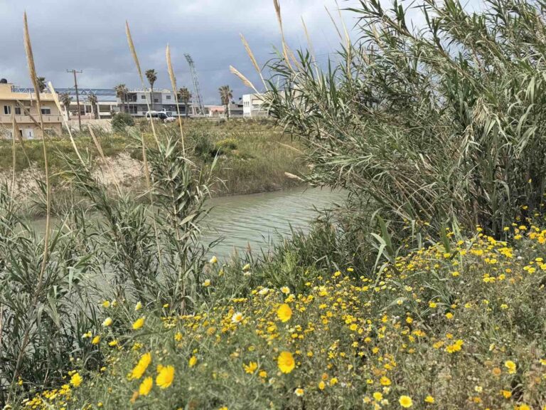 Μόλυνση στο Γιόφυρο: Γιατί τα αποτελέσματα των δειγμάτων έφεραν «ανακούφιση»