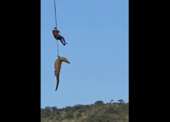 Νότια Αφρική: Κροκόδειλος κατασπάραξε άνδρα -Η ριψοκίνδυνη επιχείρηση για την ανάκτηση της σορού του