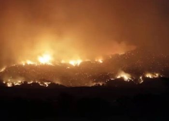 Ο Δήμος Χανίων στην άσκηση δασικής πυρκαγιάς «ΔΙΑ ΠΥΡΟΣ 2026»