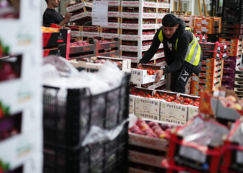 Ο FAO προειδοποιεί: Το κλείσιμο του Στενού του Ορμούζ κινδυνεύει να προκαλέσει αγροδιατροφικό σοκ