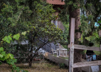 Πατροκτονία στη Θεσσαλονίκη: Η αδελφή βρήκε τον 30χρονο να κοιμάται αφού σκότωσε τον πατέρα τους