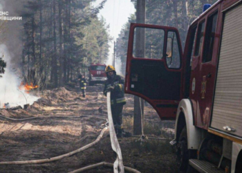 Ρωσία: Φυσιολογικά τα επίπεδα ραδιενέργειας μετά τις πυρκαγιές κοντά στο Τσέρνομπιλ