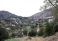 Σοκάρουν οι μαρτυρίες θυμάτων στα Βορίζια: «Μας πήραν τα κτήματα των παππούδων μας, έκαψαν τα αυτοκίνητά μας»