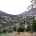 Σοκάρουν οι μαρτυρίες θυμάτων στα Βορίζια: «Μας πήραν τα κτήματα των παππούδων μας, έκαψαν τα αυτοκίνητά μας»