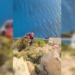 Τουρίστας εγκλωβίστηκε σε απόκρημνο σημείο στο Ναυάγιο της Ζακύνθου - Η επιχείρηση διάσωσης (Βίντεο)