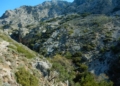 Τραγωδία στο δάσος του Ρούβα: Πεζοπόρος άφησε την τελευταία του πνοή