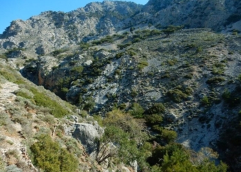 Τραγωδία στο δάσος του Ρούβα: Πεζοπόρος άφησε την τελευταία του πνοή