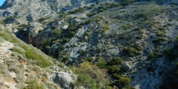 Τραγωδία στο δάσος του Ρούβα: Πεζοπόρος άφησε την τελευταία του πνοή