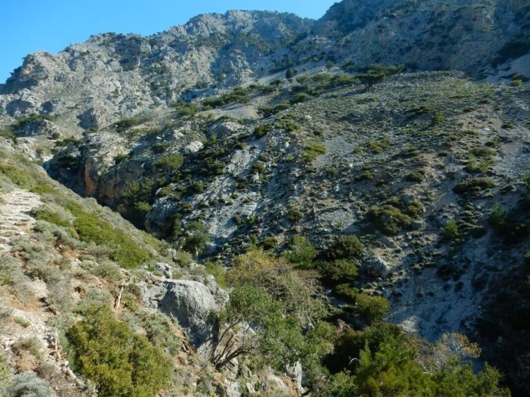 Τραγωδία στο δάσος του Ρούβα: Πεζοπόρος άφησε την τελευταία του πνοή