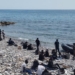 182 μετανάστες εντοπίστηκαν σε παραλία νότια του Ηρακλείου