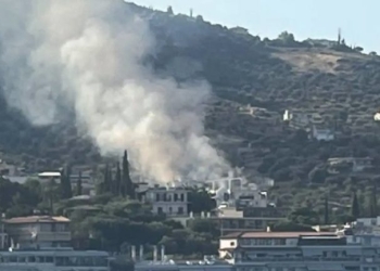 Αργολίδα: Φωτιά στο Τολό