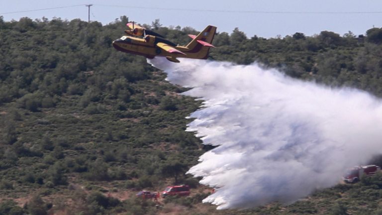Χωρίς ενεργό μέτωπο με διάσπαρτες εστίες στο βουνό η φωτιά στον Ορχομενό