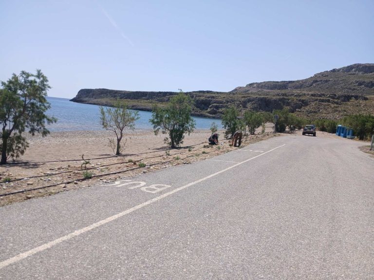 Δράση δεντροφύτευσης στην Κάτω Ζάκρο και τον Ξερόκαμπο