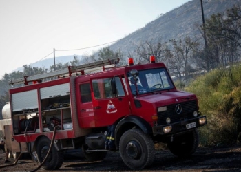 Φωτιά σε αγροτοδασική έκταση στην Κατερίνη - Κινητοποιήθηκαν και εναέρια