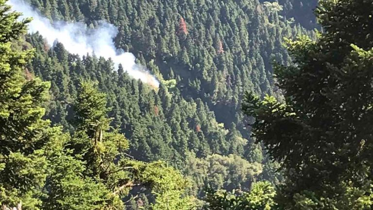 Φωτιά στα Κρυονέρια Ναυπακτίας σε δυσπρόσιτο σημείο - Κινητοποιήθηκαν δεκάδες πυροσβέστες και 4 εναέρια