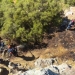 Φωτιά στη Βιάννο, κοντά σε σχολείο – Απέτρεψε τα χειρότερα η πυροσβεστική