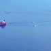 Γαλλία: Στη Μασσαλία κατασχεμένο τάνκερ - Πιστεύεται ότι ανήκει στον ρωσικό «σκιώδη στόλο»