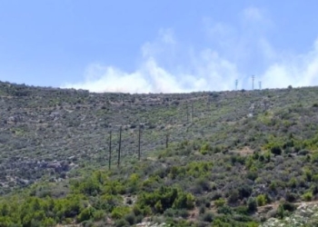 Ήχησε το 112 για τη φωτιά σε δασική έκταση στη Βοιωτία - Σηκώθηκαν αεροσκάφη και ελικόπτερα