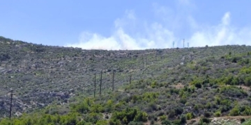 Ήχησε το 112 για τη φωτιά σε δασική έκταση στη Βοιωτία - Σηκώθηκαν αεροσκάφη και ελικόπτερα