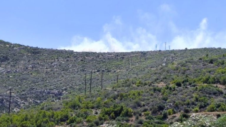 Ήχησε το 112 για τη φωτιά σε δασική έκταση στη Βοιωτία - Σηκώθηκαν αεροσκάφη και ελικόπτερα