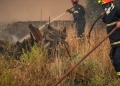 Πυροσβεστική: 44 δασικές πυρκαγιές το τελευταίο 24ωρο - Δύο συλλήψεις και ένα πρόστιμο στην Αττική