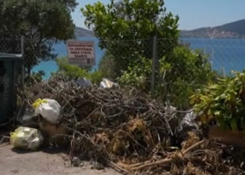 Σαλαμίνα: Τόνοι σκουπιδιών σε παράνομες χωματερές- Δείτε βίντεο