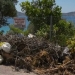 Σαλαμίνα: Τόνοι σκουπιδιών σε παράνομες χωματερές- Δείτε βίντεο