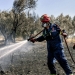Συνελήφθη ο εμπρηστής του Αγρινίου: Ομολόγησε τέσσερις πυρκαγιές στην περιοχή της Αιτωλοακαρνανίας