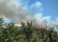 Θεσσαλονίκη: Σταδιακή αποκατάσταση της ηλεκτροδότησης σε Πανόραμα και Χορτιάτη - Υπό έλεγχο η πυρκαγιά