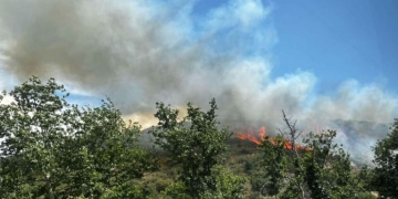 Θεσσαλονίκη: Σταδιακή αποκατάσταση της ηλεκτροδότησης σε Πανόραμα και Χορτιάτη - Υπό έλεγχο η πυρκαγιά