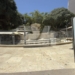 Τι απαντάει η Εφορεία Αρχαιοτήτων για τις εργασίες και τα… κάγκελα στα Λιοντάρια
